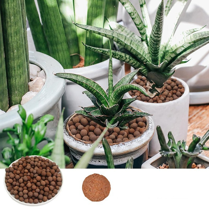 AeroClay - Plant Expanded Clay Pebbles