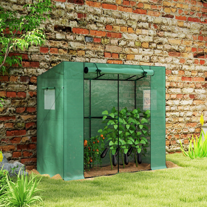 BloomCove - Portable Small Greenhouse