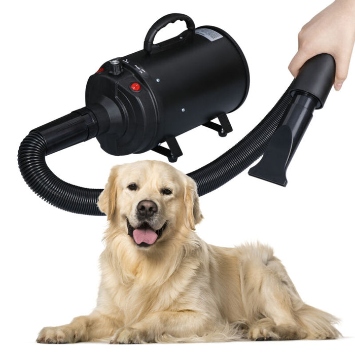 2400W Portable Pet Hair Dryer