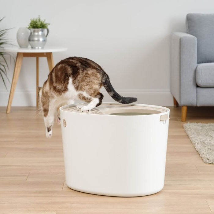 Top Entry Cat Litter Box