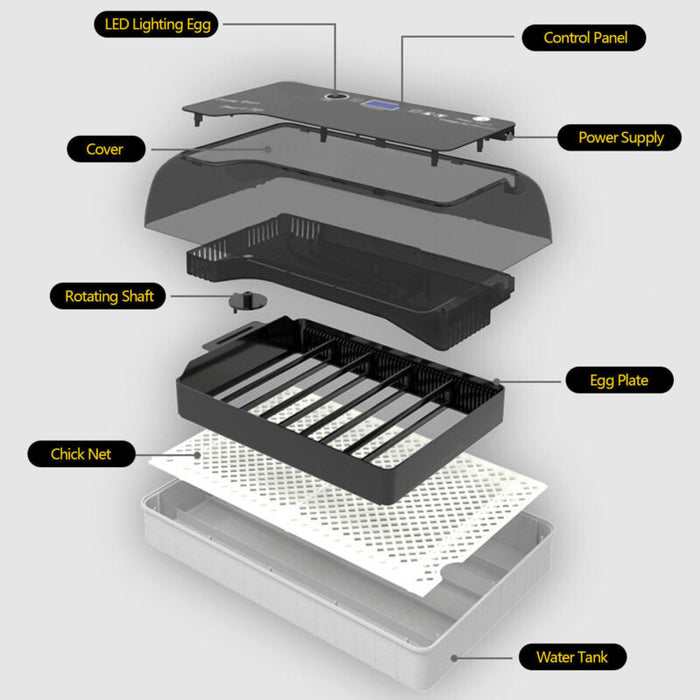 12 Egg Incubator