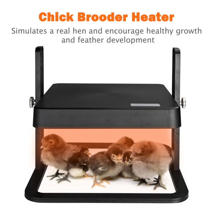 10 x 10 Chick Heating Plate