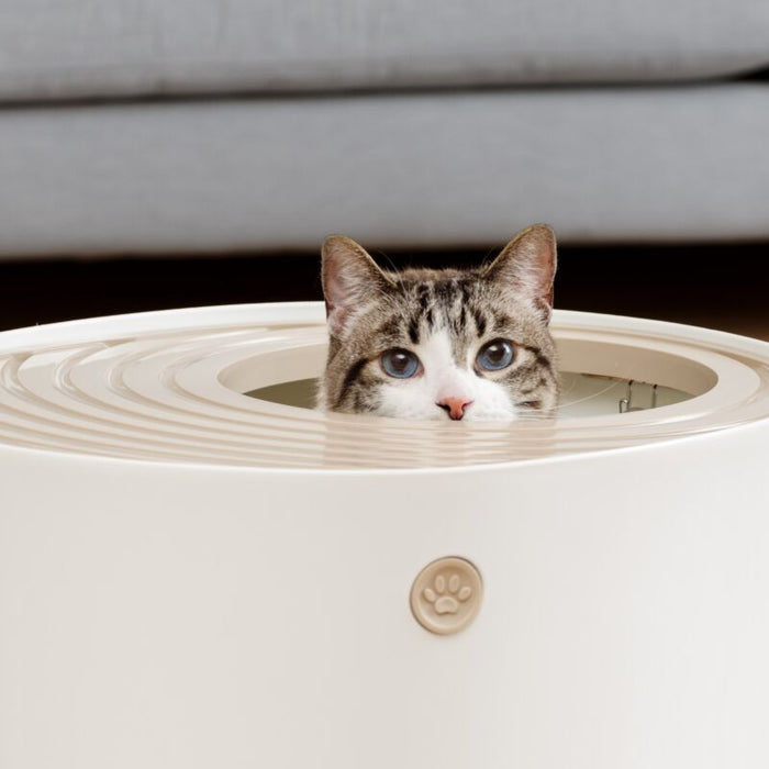 Top Entry Cat Litter Box