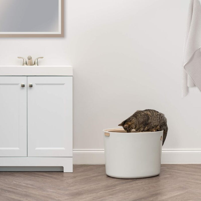 Top Entry Cat Litter Box